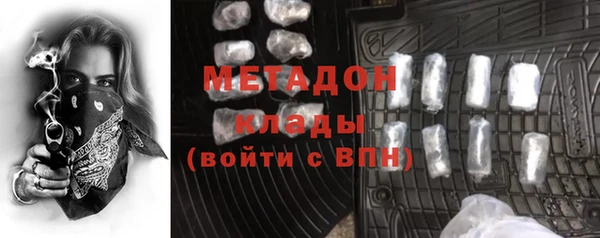 индика Алзамай