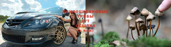 индика Алзамай