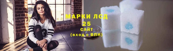 индика Алзамай