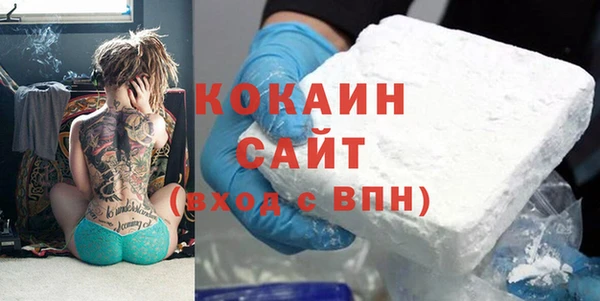 индика Алзамай